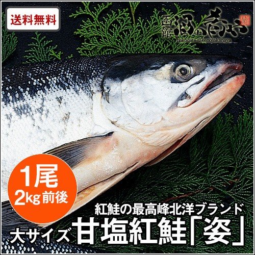 北洋産甘塩紅鮭「姿」1尾(約2kg/2.4kg/2.8kg)